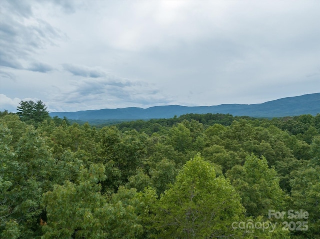 00 Twin Maple Way Unit 5, Mill Spring, NC 28756 - photo 16