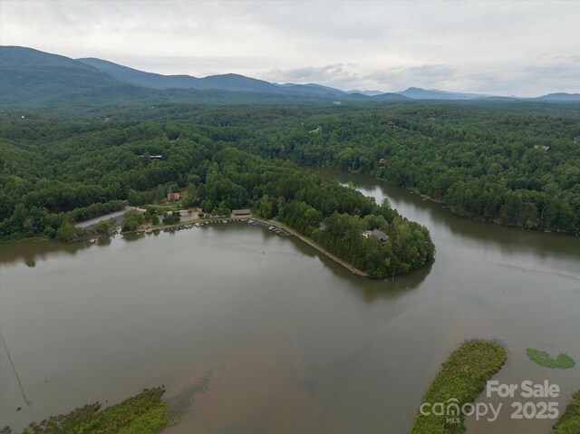 00 Twin Maple Way Unit 5, Mill Spring, NC 28756 - photo 12
