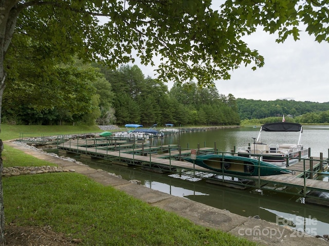 00 Twin Maple Way Unit 5, Mill Spring, NC 28756 - photo 14
