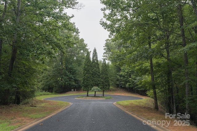 00 Twin Maple Way Unit 5, Mill Spring, NC 28756 - photo 15