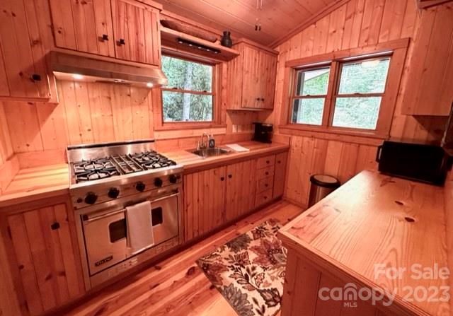 0000 Spike Moss Rd, Sapphire, NC 28774 - photo 12