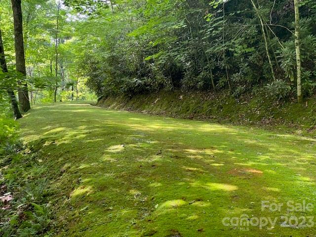 0000 Spike Moss Rd, Sapphire, NC 28774 - photo 20