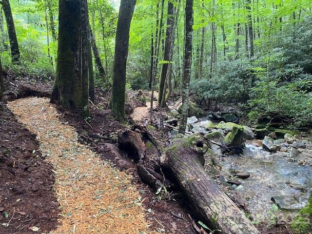 0000 Spike Moss Rd, Sapphire, NC 28774 - photo 22