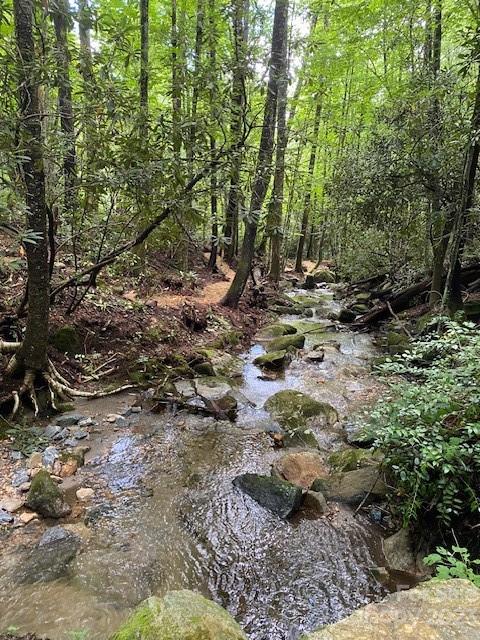 0000 Spike Moss Rd, Sapphire, NC 28774 - photo 23