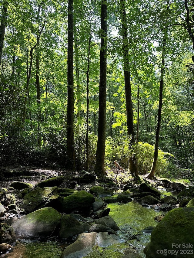 0000 Spike Moss Rd, Sapphire, NC 28774 - photo 24