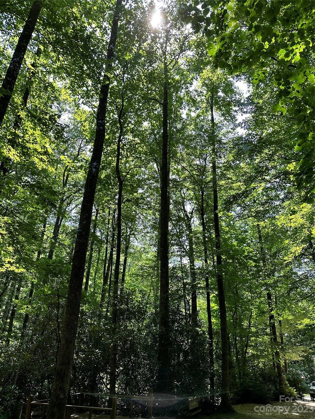 0000 Spike Moss Rd, Sapphire, NC 28774 - photo 25