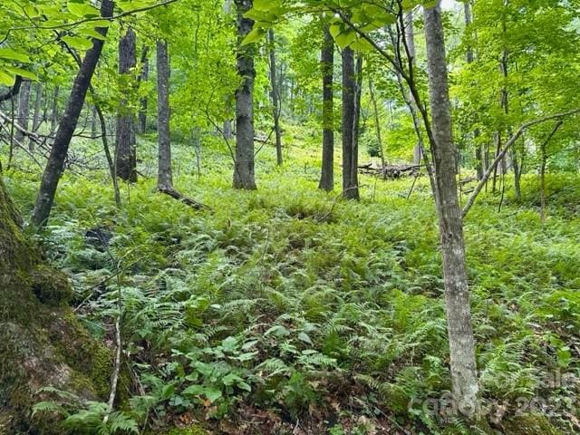 0000 Spike Moss Rd, Sapphire, NC 28774 - photo 26