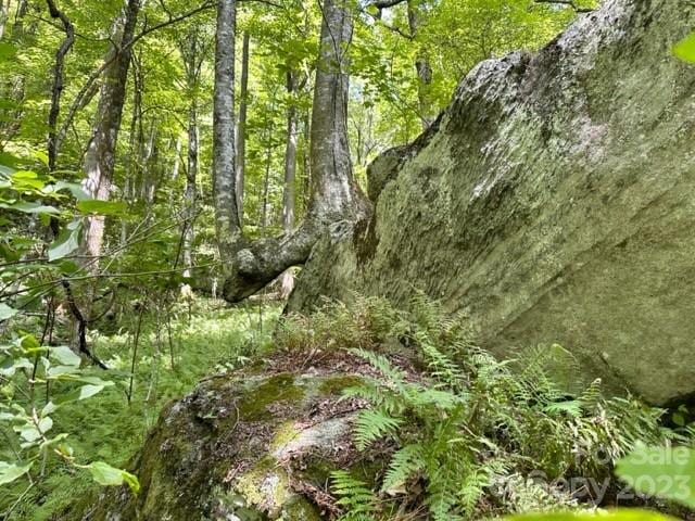 0000 Spike Moss Rd, Sapphire, NC 28774 - photo 27