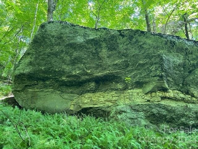 0000 Spike Moss Rd, Sapphire, NC 28774 - photo 28