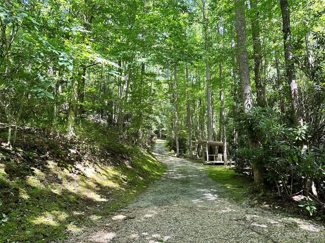 0000 Spike Moss Rd, Sapphire, NC 28774 - photo 30