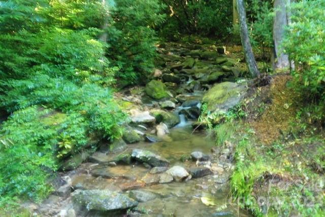 0000 Spike Moss Rd, Sapphire, NC 28774 - photo 31