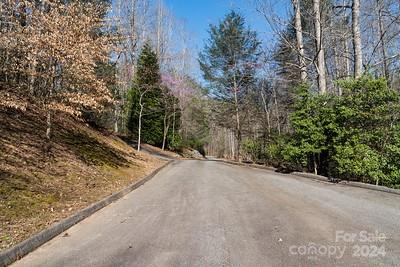 23 Mountain Pkwy, Mill Spring, NC 28756 - photo 4