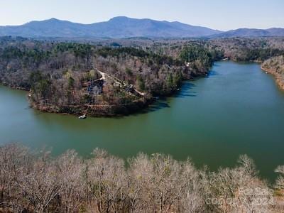 23 Mountain Pkwy, Mill Spring, NC 28756 - photo 7