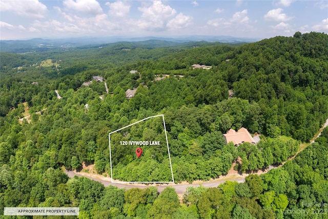 120 Ivywood Ln, Laurel Park NC, 28739 land for sale