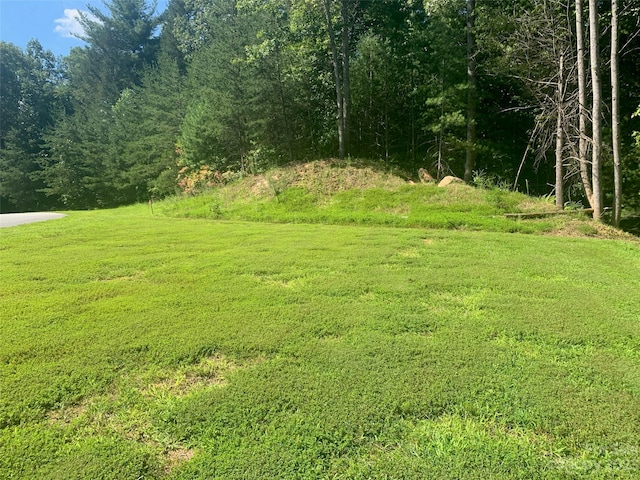 Listing photo 2 for 3.32ACRESLOT74 Round Mountain Pkwy Lot 74, Lenoir NC 28645