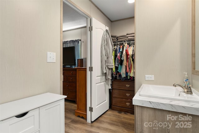 bathroom with sink, wood-type flooring, and ornamental molding