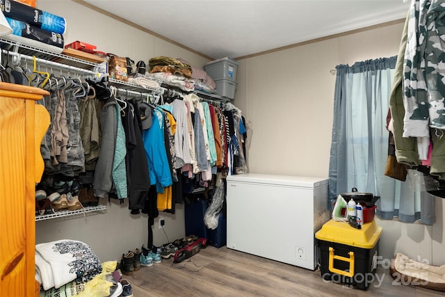 walk in closet featuring wood-type flooring