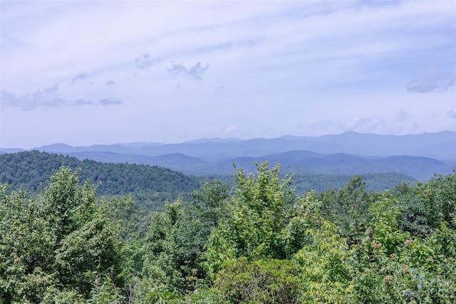 TBD Nancy Mountain Road, Rosman NC, 28772 land for sale