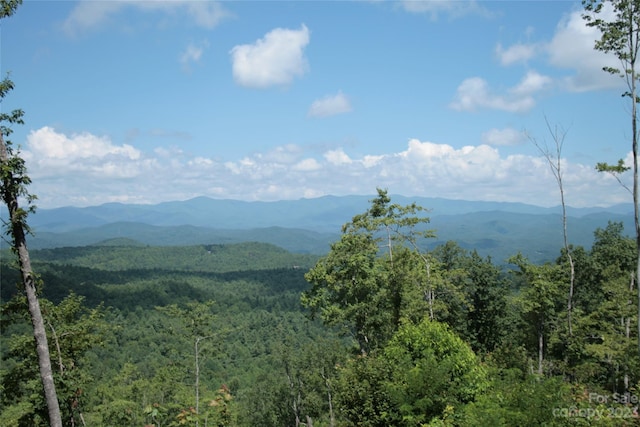 Listing photo 3 for TBD Nancy Mountain Road, Rosman NC 28772