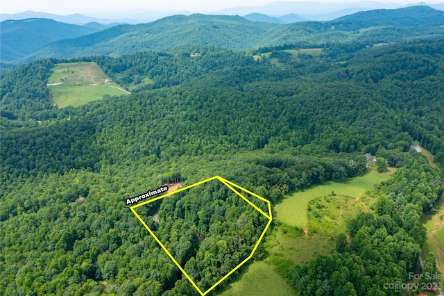 000 Sassafras Dr, Little Switzerland NC, 28777 land for sale