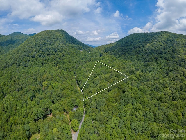 LOT121 Bald Creek Rd, Clyde NC, 28721 land for sale