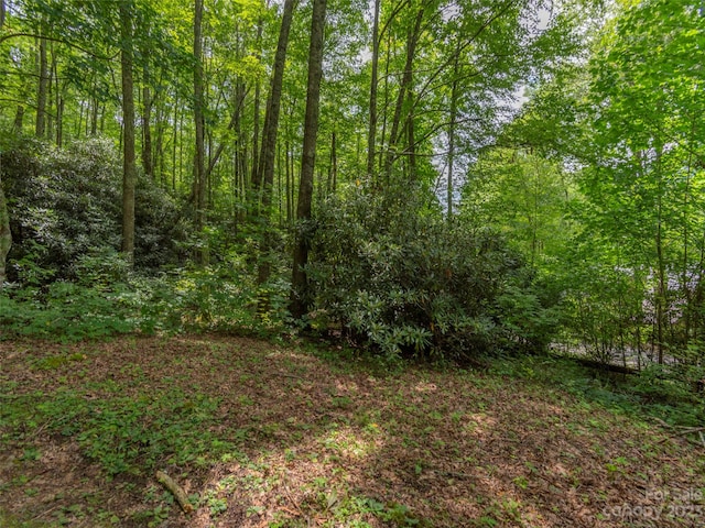 Listing photo 3 for LOT121 Bald Creek Rd, Clyde NC 28721