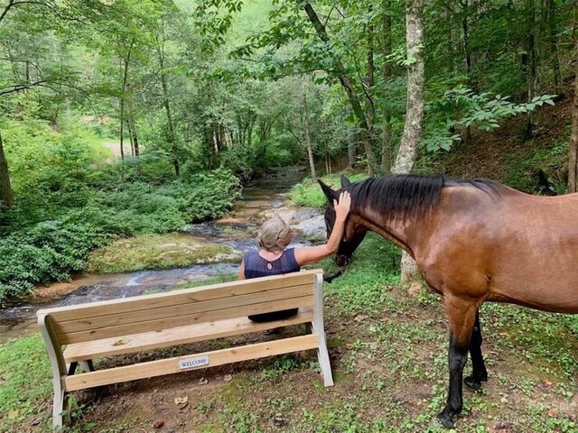 2.35acres,LotG49,2069 Hitching Post Trail Lot G49, Lenoir, NC 28645