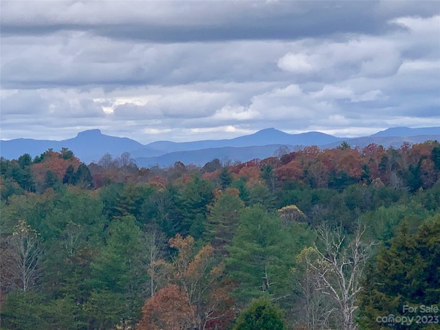 2.35acres,LotG49,2069 Hitching Post Trail Lot G49, Lenoir, NC 28645