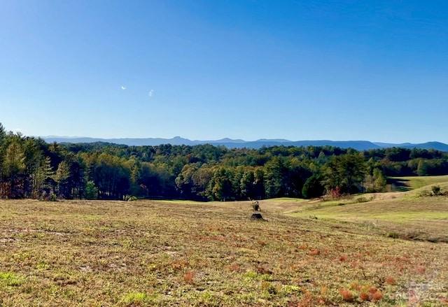 2.35acres,LotG49,2069 Hitching Post Trail Lot G49, Lenoir, NC 28645