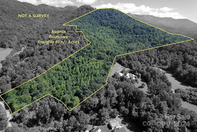 9999 Dills Cove Rd, Sylva NC, 28779 land for sale