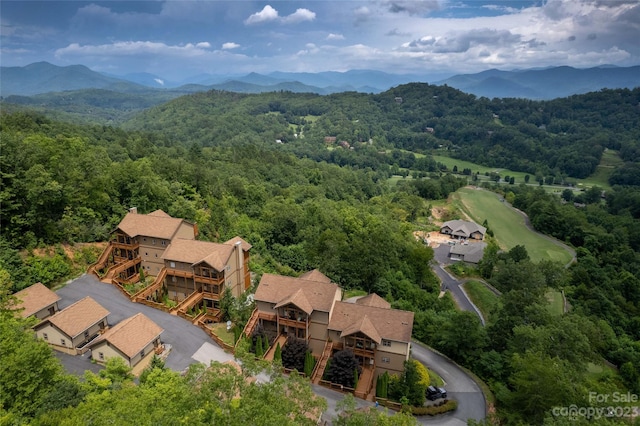 drone / aerial view with a mountain view