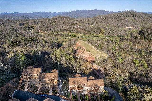 drone / aerial view with a mountain view