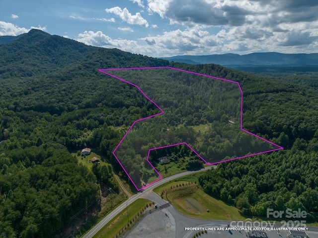 823 Silver Creek Rd, Mill Spring, NC 28756 - aerial view of property and surrounding area with a heavily wooded area, mountains, and property boundaries highlighted