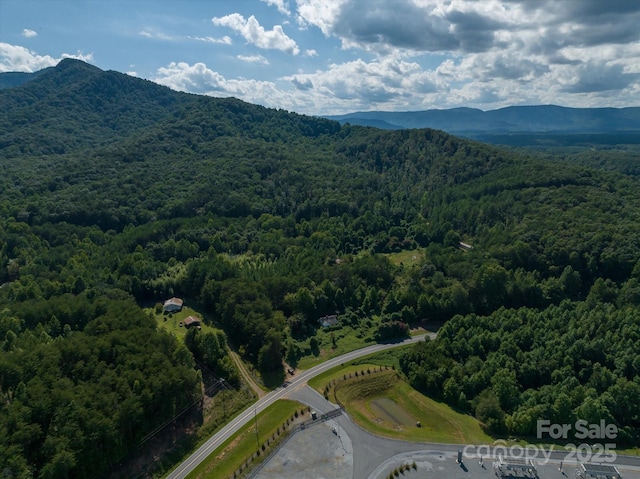 drone / aerial view featuring a mountain view