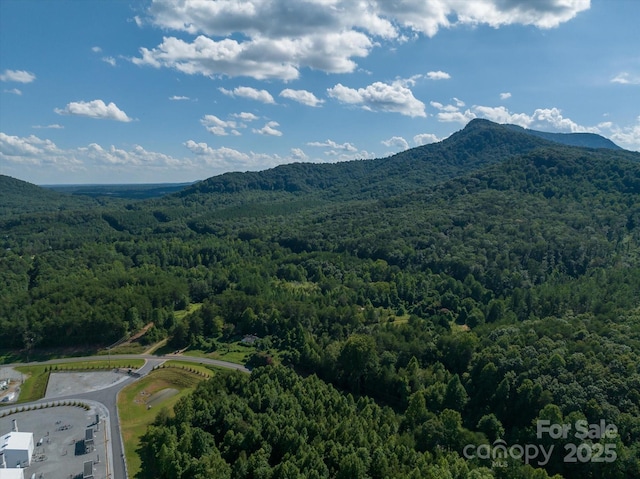 property view of mountains