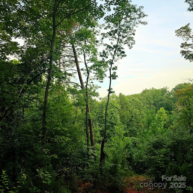 823 Silver Creek Rd, Mill Spring, NC 28756 - view of tree filled area