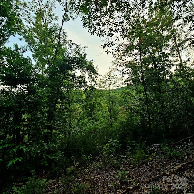 823 Silver Creek Rd, Mill Spring, NC 28756 - view of wooded area