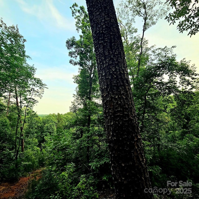 823 Silver Creek Rd, Mill Spring, NC 28756 - view of woods