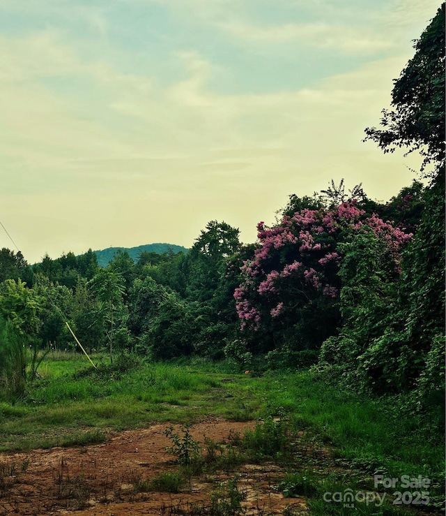 823 Silver Creek Rd, Mill Spring, NC 28756 - view of tree filled area