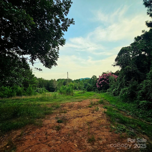 823 Silver Creek Rd, Mill Spring, NC 28756 - view of local wilderness