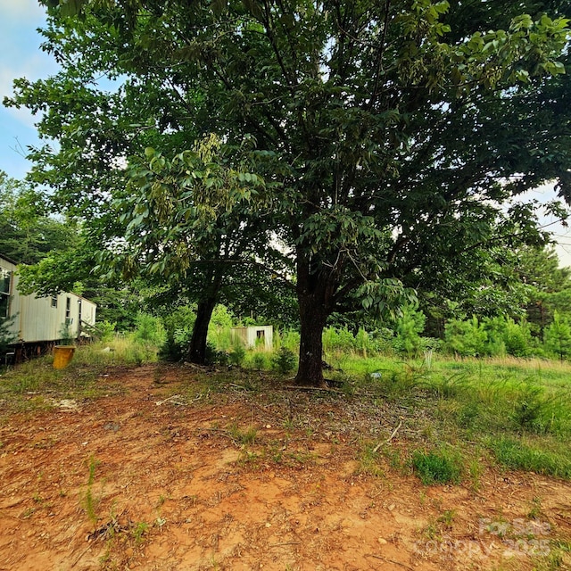 823 Silver Creek Rd, Mill Spring, NC 28756 - view of yard
