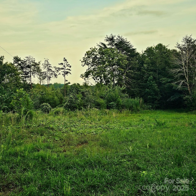 823 Silver Creek Rd, Mill Spring, NC 28756 - view of nature
