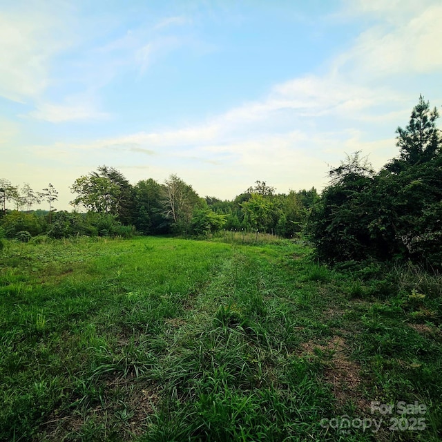 823 Silver Creek Rd, Mill Spring, NC 28756 - view of local wilderness