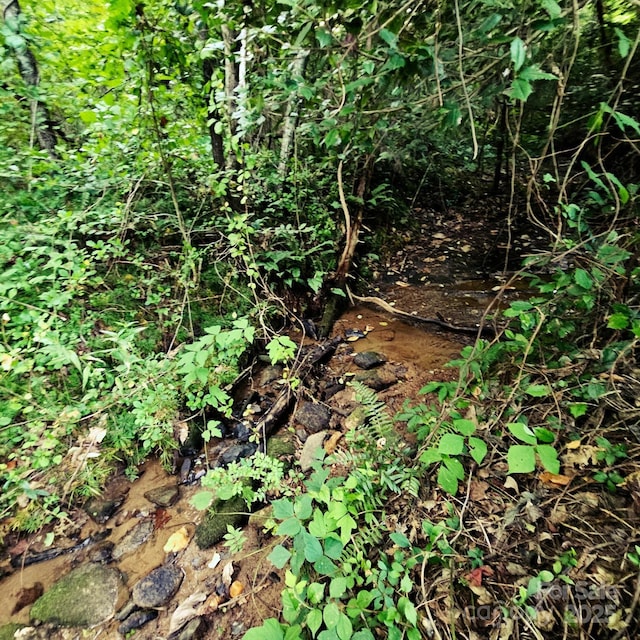 823 Silver Creek Rd, Mill Spring, NC 28756 - view of local wilderness