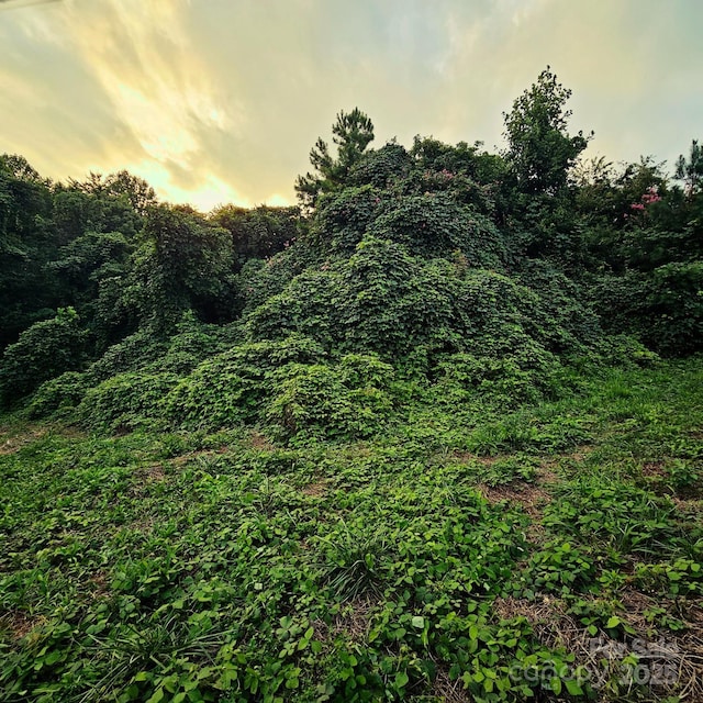 823 Silver Creek Rd, Mill Spring, NC 28756 - view of nature at dusk