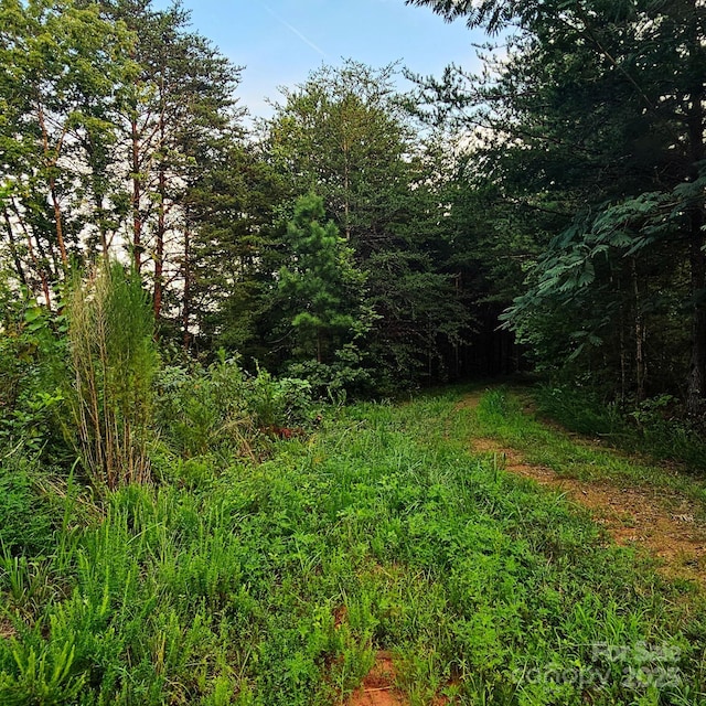 823 Silver Creek Rd, Mill Spring, NC 28756 - view of undeveloped land