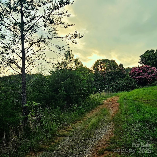 823 Silver Creek Rd, Mill Spring, NC 28756 - view of nature at dusk