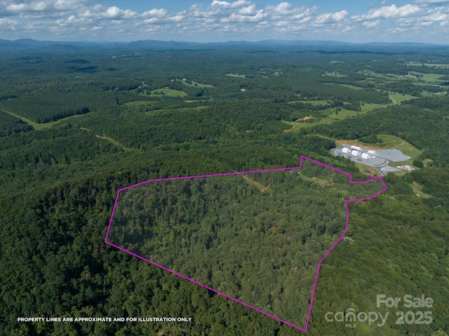 823 Silver Creek Rd, Mill Spring, NC 28756 - aerial view of property's location featuring property parcel outlined