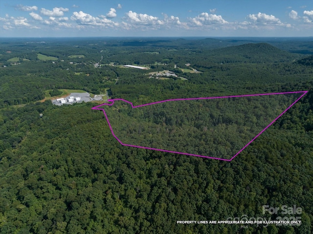 823 Silver Creek Rd, Mill Spring, NC 28756 - aerial overview of property's location featuring a heavily wooded area and property parcel outlined