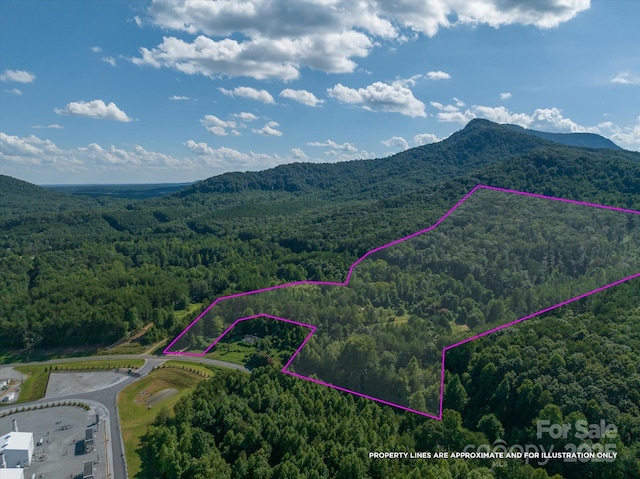 823 Silver Creek Rd, Mill Spring, NC 28756 - aerial overview of property's location with a forest and property boundaries highlighted